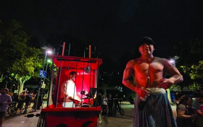 Aldarull pirata